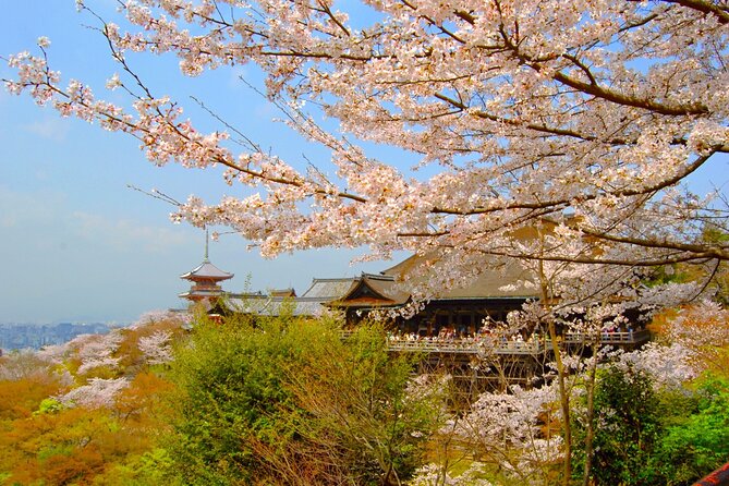 1 Day Kyoto UNESCO World Heritage Sites Bus Tour - Arashiyama Bamboo Grove, Kimono Forest, and Togetsukyō Bridge Photos