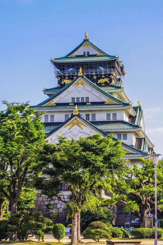 1-Day walking tour in Osaka:Castle, temples and Ukiyoe - Dotonbori, Big Signs, and the Ukiyoe Experience