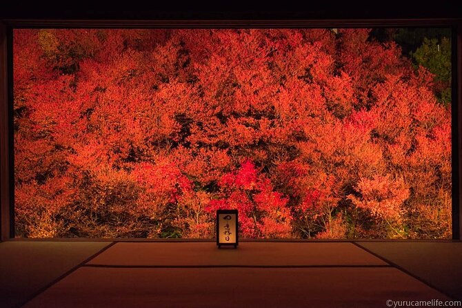 1Night and 2Days Trip to Kinosaki Onsen and Temple - Why Kinosaki feels different from most day trips