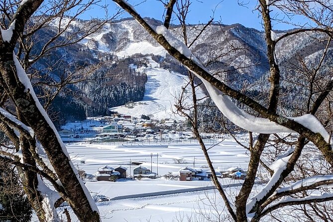 1Night and 2Days Trip to Kinosaki Onsen and Temple - Transportation, timing, and how the schedule actually feels