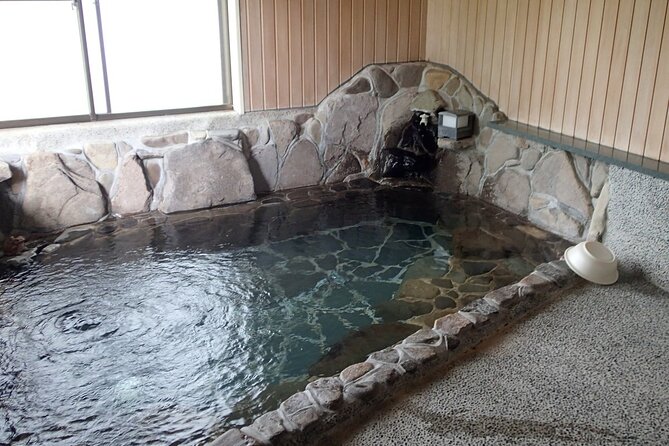 1Night and 2Days Trip to Kinosaki Onsen and Temple - Who this tour is best for
