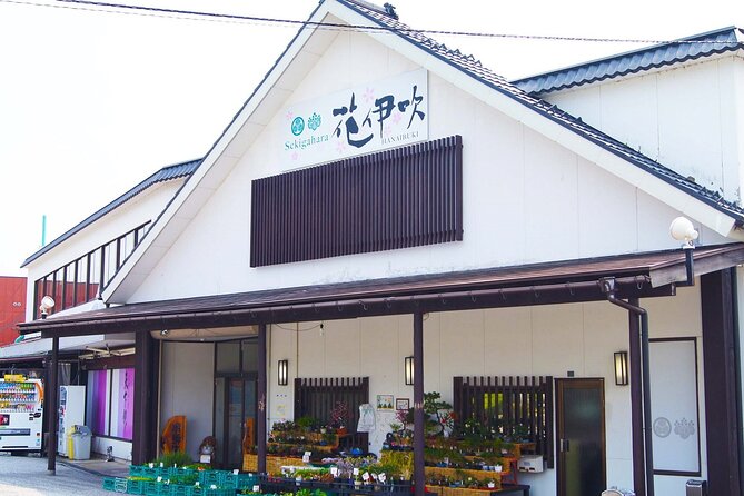 2-Day Bus Tour to Shirakawago & Hida No Sato Winter Illumination - Hida no Sato light-up: night walking, fairy-tale mood, and a short time window