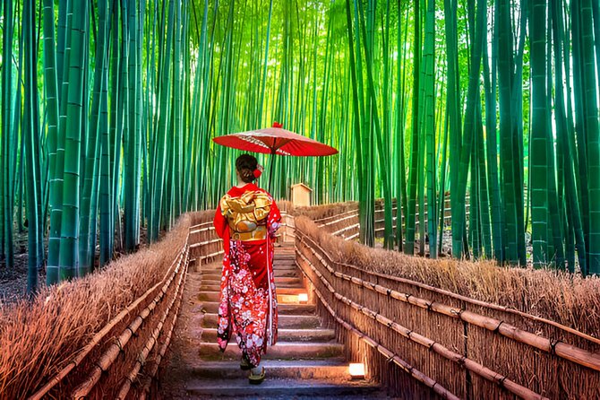 3 Days Private Osaka Kyoto and Nara Tour with English Driver - Key things to love, and what to watch for