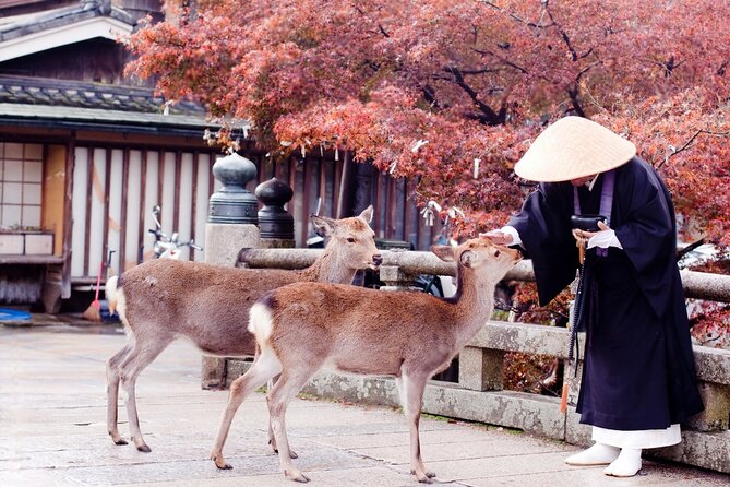 3 Days Private Osaka Kyoto and Nara Tour with English Driver - The 3-city route that keeps Kansai simple