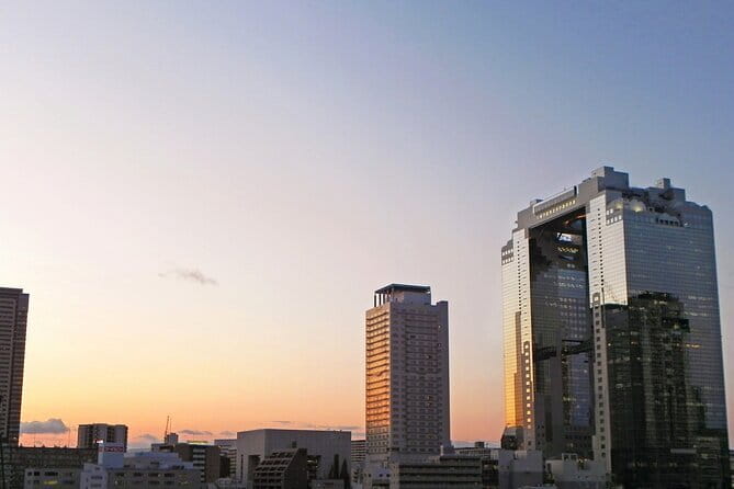 6 Hours Osaka Tour with National Licensed Guide - Price and What You Actually Get for $180