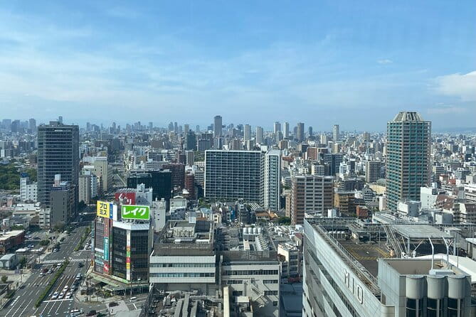 Allure of Osaka Walking Day Tour with a local guide - Price and what $48.99 covers, plus the small extras