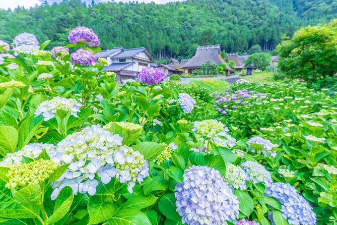 Amanohashidate Ine Funaya and Miyama Thatched Village Tour - Stop 1: Ine no Funaya, wooden boathouses on the bay