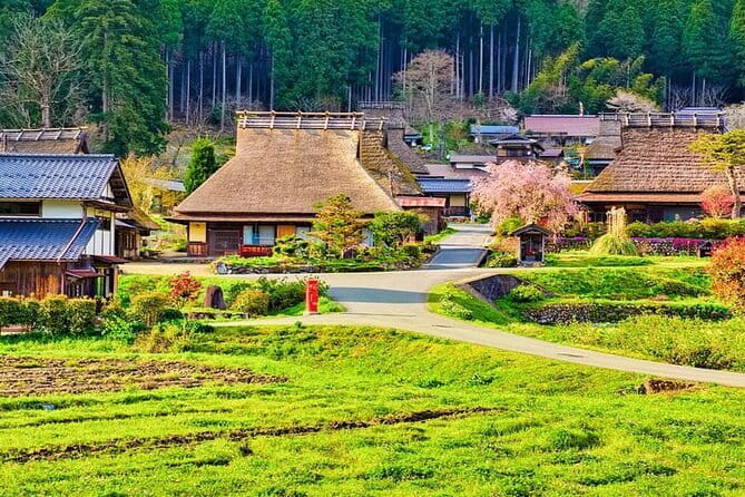 Amanohashidate & Ine Funaya Kyoto coast day trip from Osaka/Kyoto - Who This Tour Fits Best, and Who Might Want a Different Plan