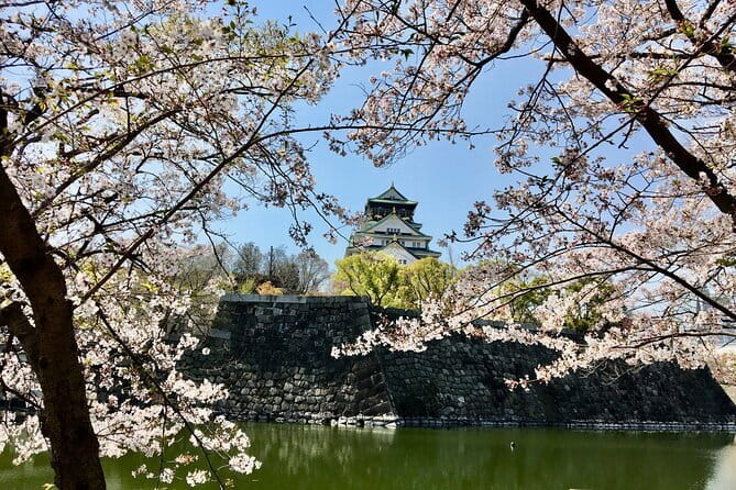 Amanohashidate & Ine Funaya Sightseeing Full Day Trip from Kyoto - Amanohashidate Beach: White Sand, Pine Trees, and Time to Reset