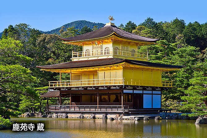Ancient Capital Tour: Kyoto and Nara Highlights from Kyoto/Osaka - Tips to avoid stress: walking, cameras, and when to manage expectations