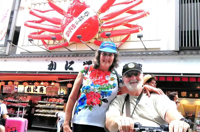 Barrier Free Osaka Private Full Day Tour for Wheelchair Users - Who this tour suits best, and who should reconsider