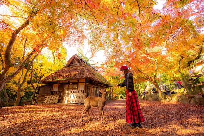 Best of Kyoto and Nara Highlights Day Tour from Osaka (7~9 spots) - One-day Kyoto and Nara from Osaka, how the timing actually feels