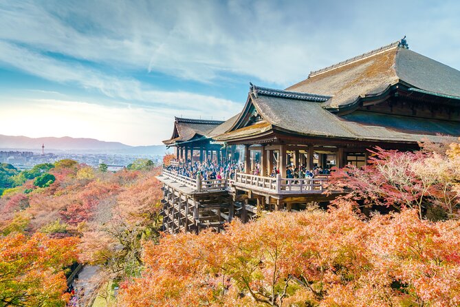 Best of Kyoto and Nara Highlights Day Tour from Osaka (7~9 spots) - Kasuga Grand Shrine and Nara Park, a calm start with strong visual payoff