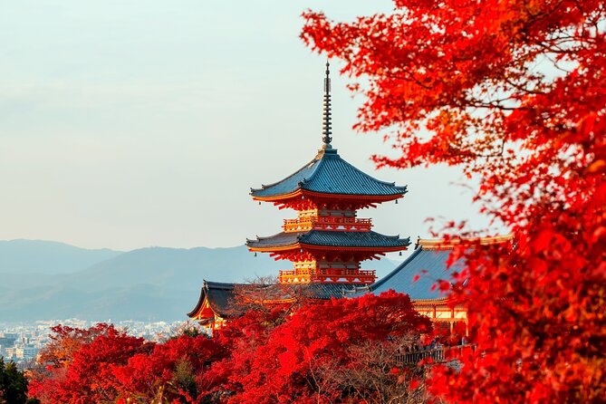 Best of Kyoto and Nara Highlights Day Tour from Osaka (7~9 spots) - Todai-ji and the Great Buddha, where optional tickets change your level of focus