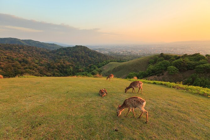 Best of Kyoto and Nara Highlights Day Tour from Osaka (7~9 spots) - Uji stop: Byodoin Temple and Omotesando before Fushimi Inari