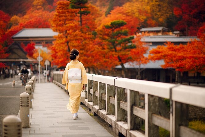 Best of Kyoto and Nara Highlights Day Tour from Osaka (7~9 spots) - Fushimi Inari Taisha, the torii tunnel that steals the show