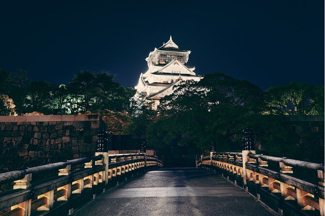 Best Private Osaka Walking Tour With A Guide 100% Personalised - Meeting at your accommodation, then learning the city the practical way