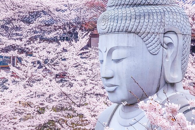 Cherry Blossom Buddha and Mt.Yoshino with Strawberry Picking Tour - Key things to know before you go