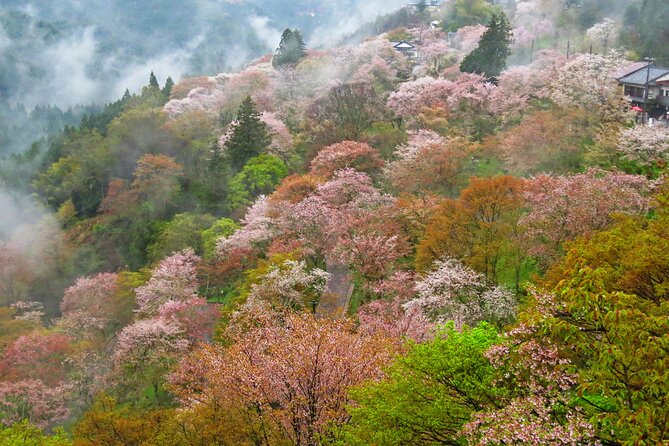 Cherry Blossom Buddha and Mt.Yoshino with Strawberry Picking Tour - Stop 4: Roadside Station Katsuragi, snacks and quick browsing