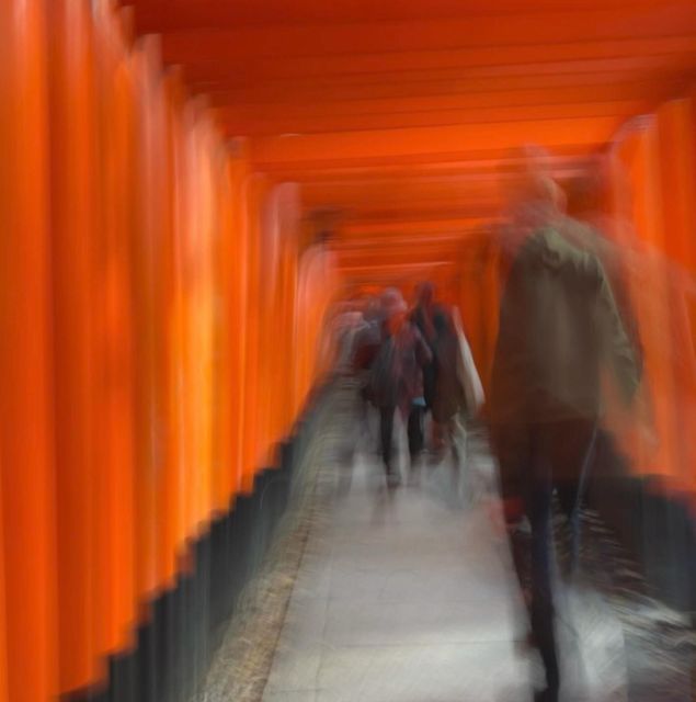 Compact Kyoto day tour experience - Why this compact Kyoto day tour makes sense