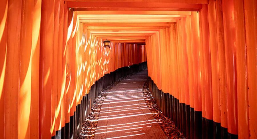 Compact Kyoto day tour experience - Your day at a glance: the route that keeps Kyoto together