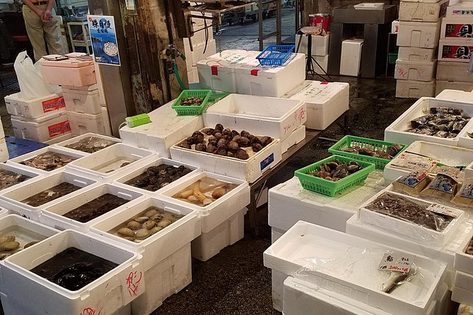 Deep Dive: Osaka Food Markets from Local to Luxurious! - Tenjinbashisuji Shopping Street: how to use a long shotengai day