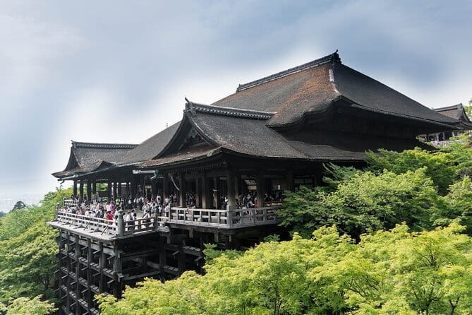 Discover Himeji, Kobe and Nara from Osaka - Price and What Your $91 Actually Buys