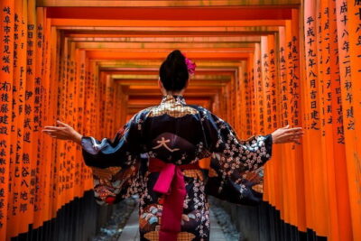 Discover Himeji, Kobe and Nara from Osaka