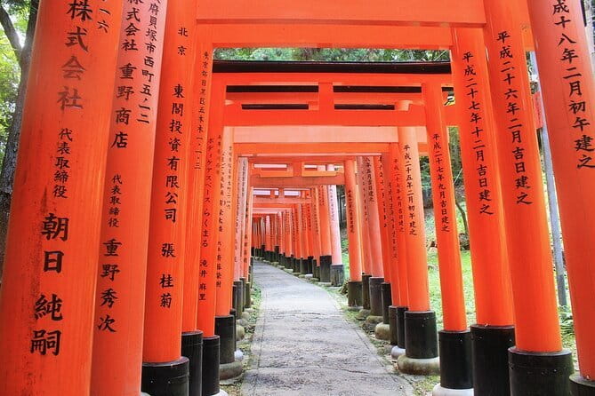 Discover Himeji, Kobe and Nara from Osaka - Timing, Walking, and Staying Comfortable for the 11-Hour Stretch