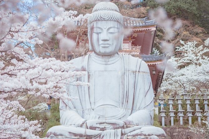 Discover the Timeless Charm and Natural Beauty of Nara - Private chauffeur comfort for a full Nara day