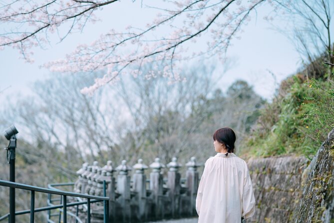 Discover the Timeless Charm and Natural Beauty of Nara - Nara Park deer time, plus temples and shrines