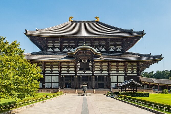 Discover the Timeless Charm and Natural Beauty of Nara - Kasuga Grand Shrine in the forest, stone lanterns, and Shinto meaning