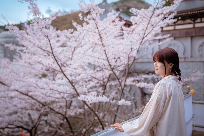 Discover the Timeless Charm and Natural Beauty of Nara - Mt. Wakakusa viewpoint without committing to an all-day hike