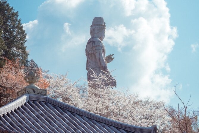 Discover the Timeless Charm and Natural Beauty of Nara - Price and value: why $261.92 can make sense for Nara