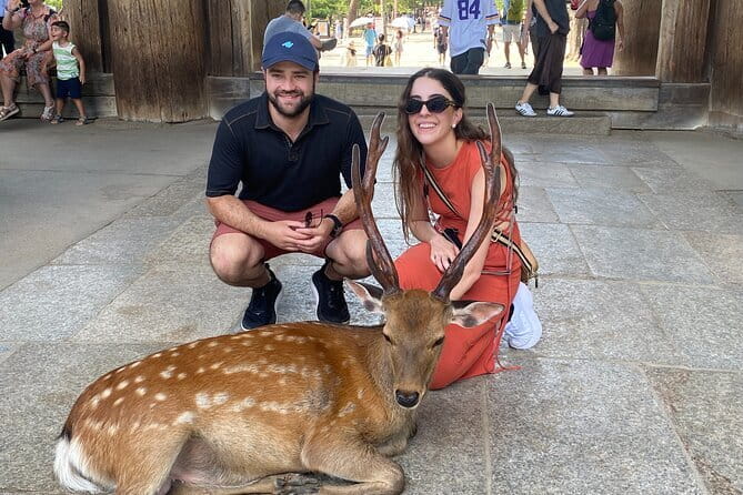 Exclusive Luxury Day Tours Serene Nara - A private luxury Nara day with pickup that saves your energy