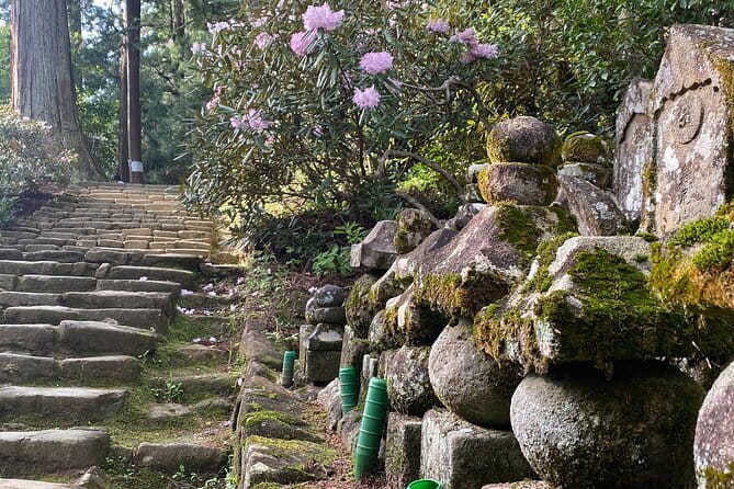 Exclusive Luxury Day Tours Serene Nara - Naramachi town stroll, sake tasting, and cultural side quests