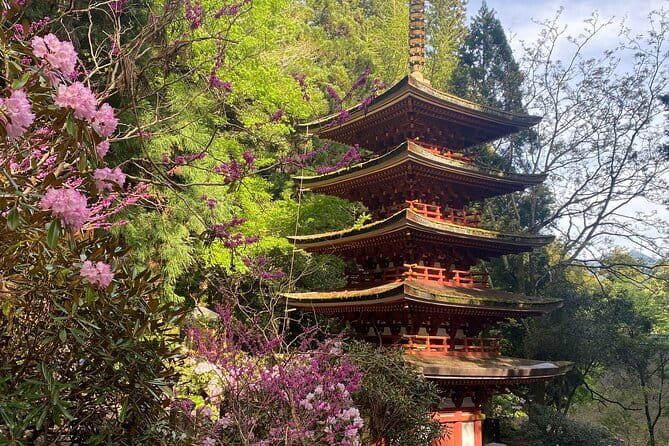 Exclusive Luxury Day Tours Serene Nara - Picking 3 or 4 sites from a long menu (so the day stays enjoyable)