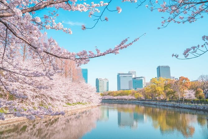 Explore Osaka | Private Tour - Local English Driver(guide option) - Osaka Castle: Big Views, Serious Grounds, and Separate Tickets