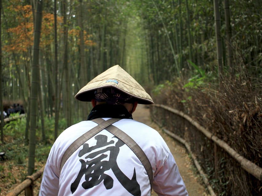 From Kyoto/Osaka: Kyoto Top Highlights 1-Day Guided Bus Tour - Price and value check: what you get for about $51