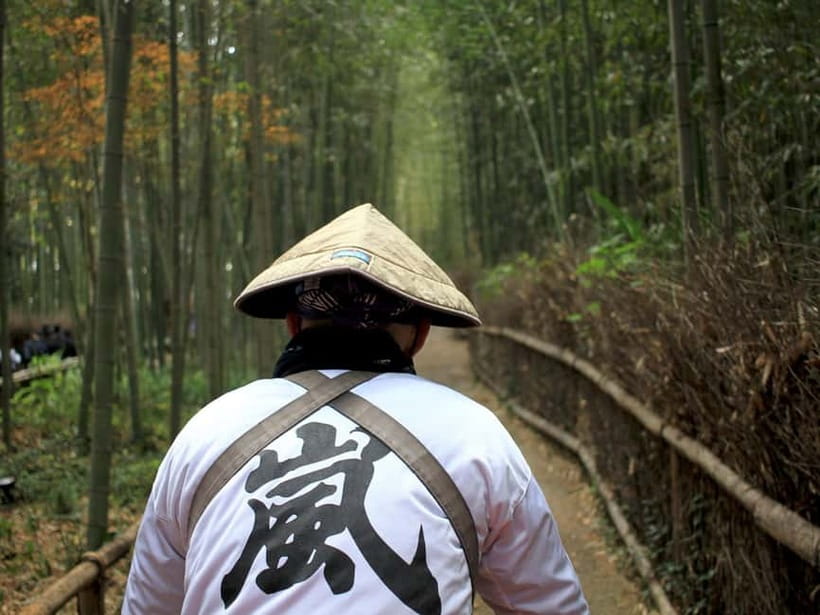 From Kyoto/Osaka: Kyoto Top Highlights 1-Day Guided Bus Tour - Kiyomizudera, the nail-less stage, Otowa Falls, and the Kyoto skyline