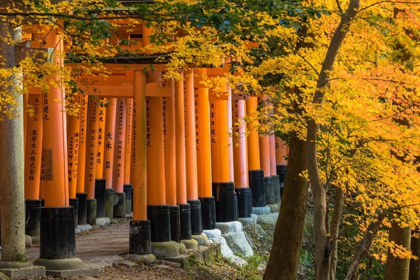 From Kyoto/Osaka: Kyoto Top Highlights 1-Day Guided Bus Tour - Kinkaku-ji Golden Pavilion, quick timing, and garden details worth pausing for