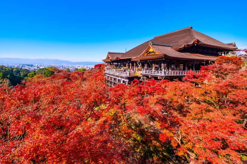 From Kyoto/Osaka: Kyoto Top Highlights 1-Day Guided Bus Tour - Lunch choices, food needs, and what to pack anyway