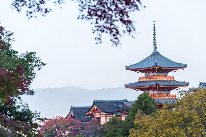 From Osaka: 10-hour Private Customizable Tour to Kyoto - Kinkaku-ji: the Golden Pavilion with room to breathe