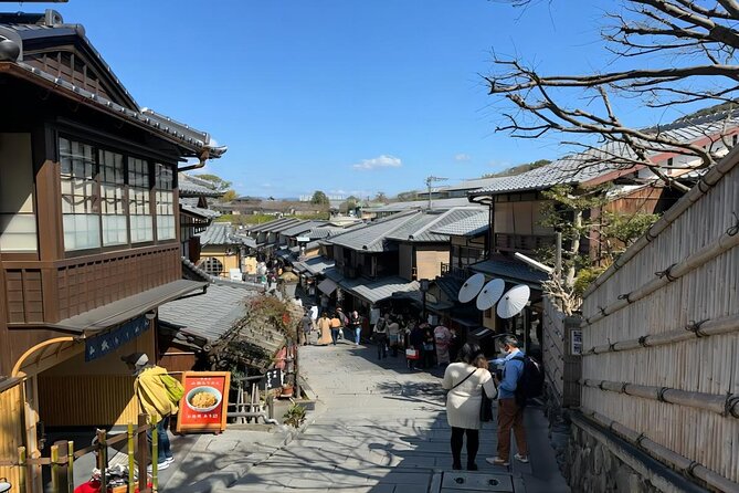 From Osaka: 10-hour Private Customizable Tour to Kyoto - English guide optional: the difference between narration and just getting around