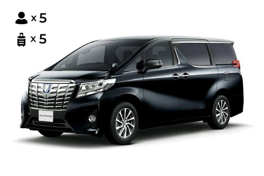 From Osaka: 10-hour Private Customized Tour to Nara - Why a private car day to Nara makes sense from Osaka