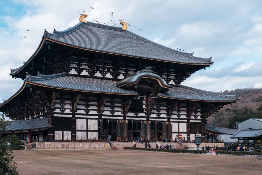 From Osaka: 10-hour Private Day Tour to Kyoto and Nara - Nara Park and the deer: the moment that tends to win people over