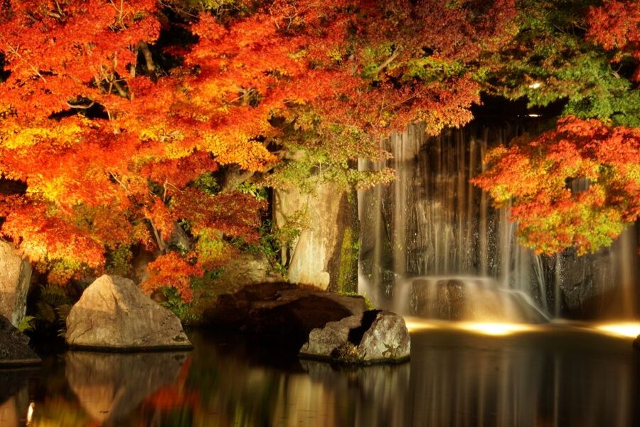 From Osaka: Himeji Castle, Arima Onsen & Mt. Rokko Day Tour - Arima Onsen: one of Japan’s oldest hot spring towns