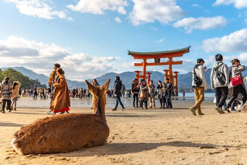 From Osaka: Hiroshima and Miyajima Day Trip by Bullet Train - Miyajima ferry ride: a scenic reset before the shrine