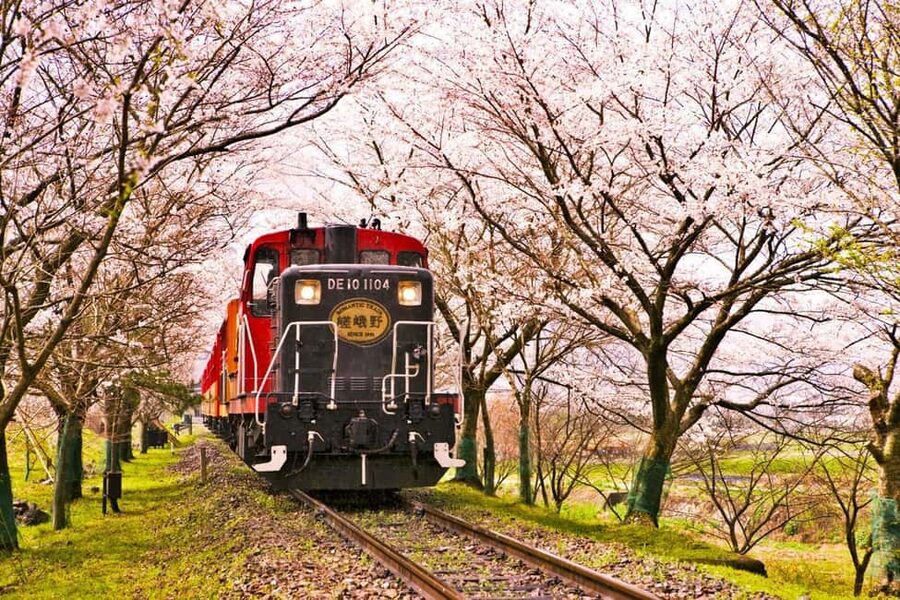 From Osaka: Kyoto, Nara, Fushimi Inari & Arashiyama Day Tour - The Real Deal on an Osaka to Kyoto Day Trip