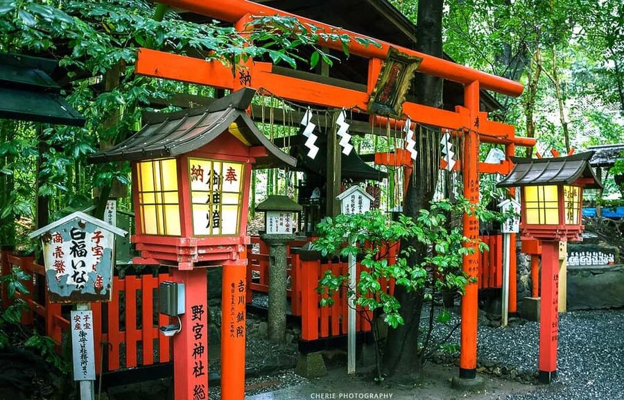 From Osaka: Kyoto, Nara, Fushimi Inari & Arashiyama Day Tour - Key Highlights at a Glance